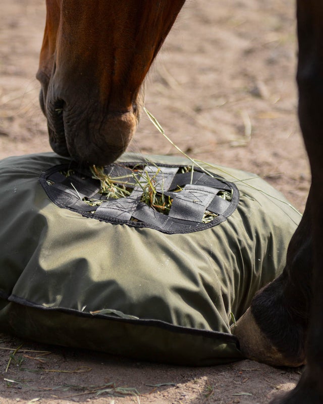 Horse using the Fluffy Feeder