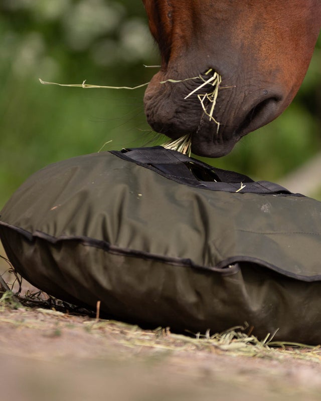 Green Fluffy Feeder for horses